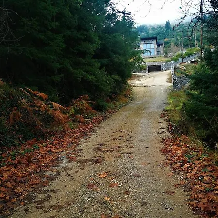 شاليه Dandy Agoriani - Ivoni - Fireplace Eptálofos