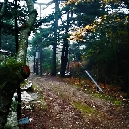 شاليه Dandy Agoriani - Ivoni - Fireplace *