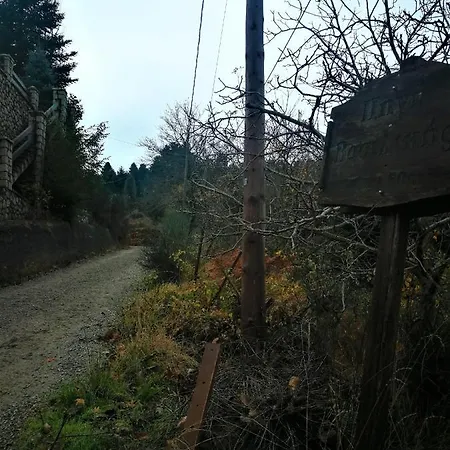 شاليه Dandy Agoriani - Ivoni - Fireplace *